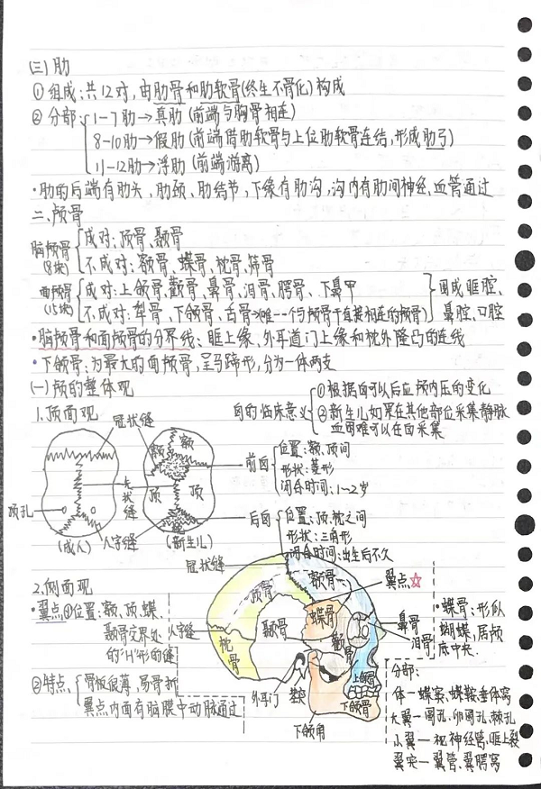图片 2