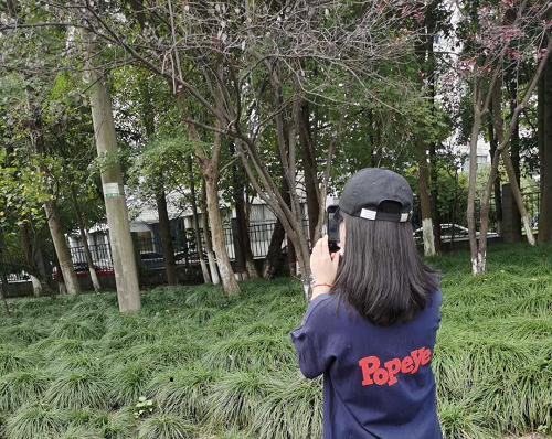 图片3